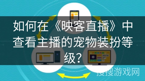 如何在《映客直播》中查看主播的宠物装扮等级？