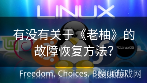 有没有关于《老柚》的故障恢复方法？
