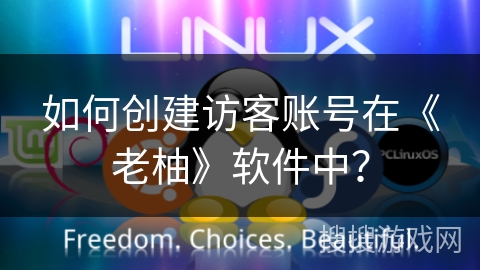 如何创建访客账号在《老柚》软件中？