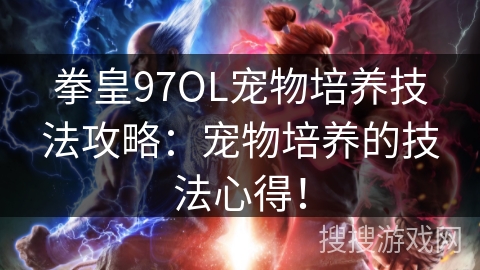 拳皇97OL宠物培养技法攻略：宠物培养的技法心得！