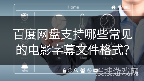 百度网盘支持哪些常见的电影字幕文件格式？
