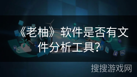 《老柚》软件是否有文件分析工具? 《老柚》软件是否有文件分析工具?