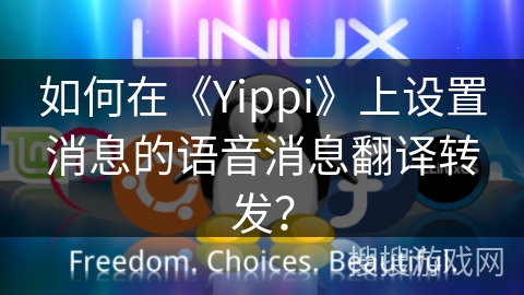 如何在《Yippi》上设置消息的语音消息翻译转发？