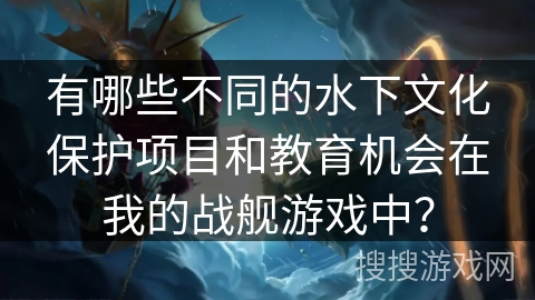 有哪些不同的水下文化保护项目和教育机会在我的战舰游戏中？