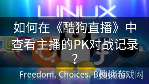 如何在《酷狗直播》中查看主播的PK对战记录？