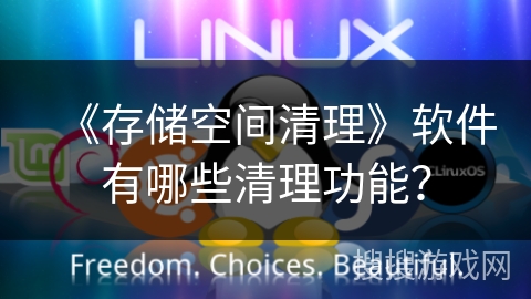 《存储空间清理》软件有哪些清理功能？