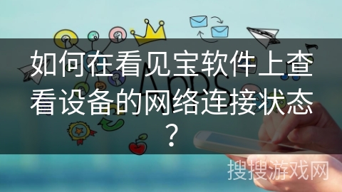 如何在看见宝软件上查看设备的网络连接状态？