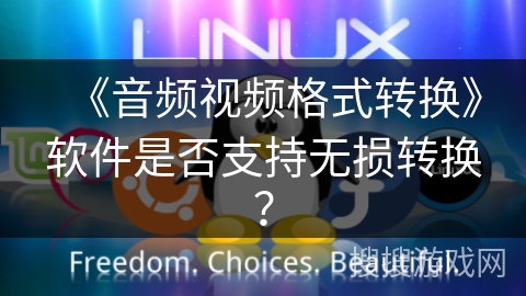 《音频视频格式转换》软件是否支持无损转换？