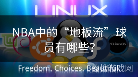NBA中的“地板流”球员有哪些？