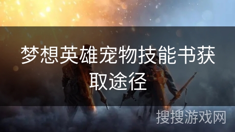 梦想英雄宠物技能书获取途径