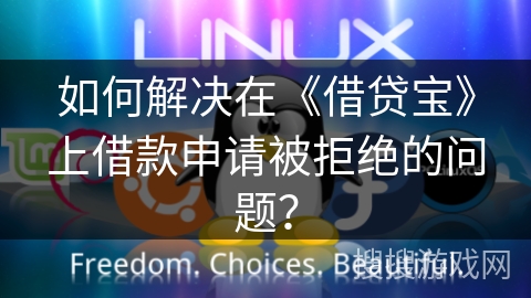 如何解决在《借贷宝》上借款申请被拒绝的问题？