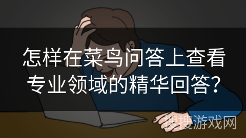 怎样在菜鸟问答上查看专业领域的精华回答？
