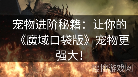 宠物进阶秘籍：让你的《魔域口袋版》宠物更强大！