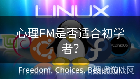 心理FM是否适合初学者？