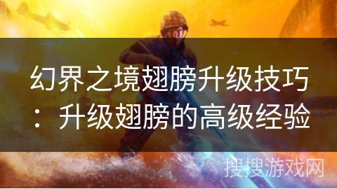 幻界之境翅膀升级技巧：升级翅膀的高级经验