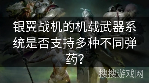 银翼战机的机载武器系统是否支持多种不同弹药？