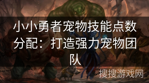 小小勇者宠物技能点数分配：打造强力宠物团队