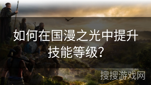 如何在国漫之光中提升技能等级？