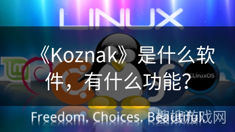 《Koznak》是什么软件，有什么功能？