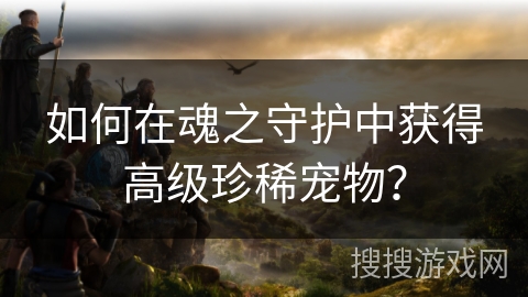 如何在魂之守护中获得高级珍稀宠物？