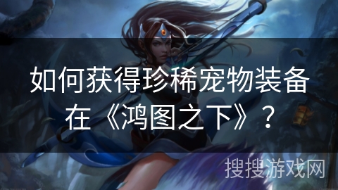 如何获得珍稀宠物装备在《鸿图之下》？