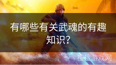 有哪些有关武魂的有趣知识？