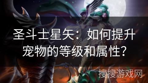 圣斗士星矢:如何提升宠物的等级和属性? 圣斗士星矢:如何提升宠物的等级和属性?