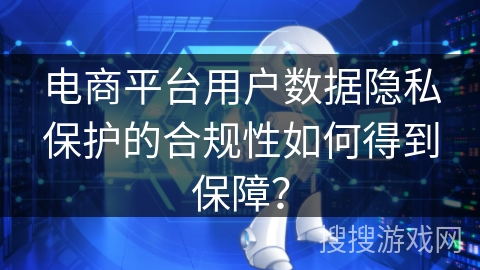 电商平台用户数据隐私保护的合规性如何得到保障？