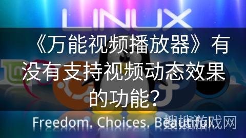 《万能视频播放器》有没有支持视频动态效果的功能？