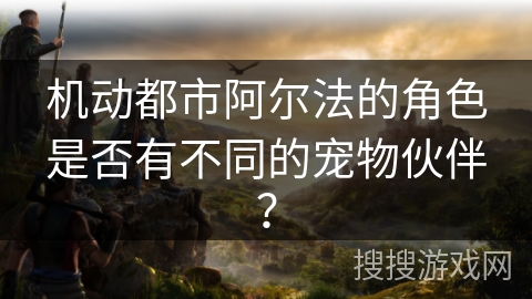 机动都市阿尔法的角色是否有不同的宠物伙伴？