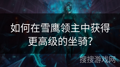 如何在雪鹰领主中获得更高级的坐骑？