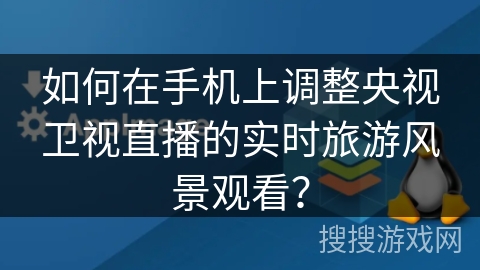 如何在手机上调整央视卫视直播的实时旅游风景观看？