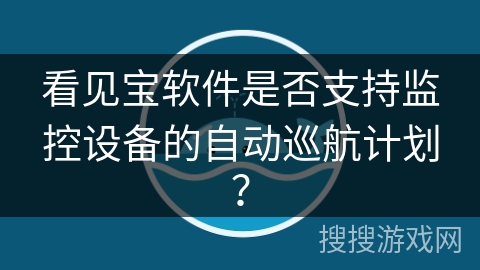 看见宝软件是否支持监控设备的自动巡航计划？