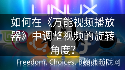 如何在《万能视频播放器》中调整视频的旋转角度？