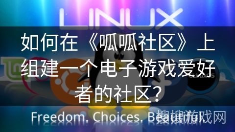 如何在《呱呱社区》上组建一个电子游戏爱好者的社区？