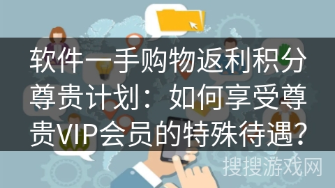 软件一手购物返利积分尊贵计划：如何享受尊贵VIP会员的特殊待遇？