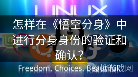怎样在《悟空分身》中进行分身身份的验证和确认？