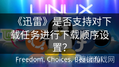 《迅雷》是否支持对下载任务进行下载顺序设置？