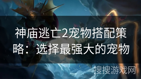 神庙逃亡2宠物搭配策略：选择最强大的宠物