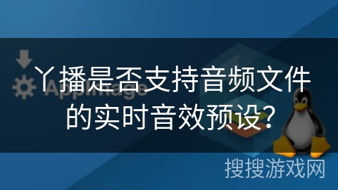 丫播是否支持音频文件的实时音效预设？