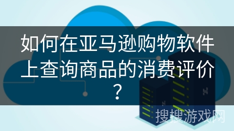 如何在亚马逊购物软件上查询商品的消费评价？