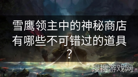 雪鹰领主中的神秘商店有哪些不可错过的道具？