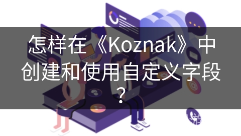 怎样在《Koznak》中创建和使用自定义字段？