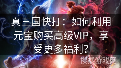真三国快打：如何利用元宝购买高级VIP，享受更多福利？