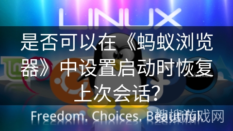 是否可以在《蚂蚁浏览器》中设置启动时恢复上次会话？