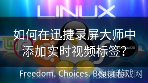 如何在迅捷录屏大师中添加实时视频标签？