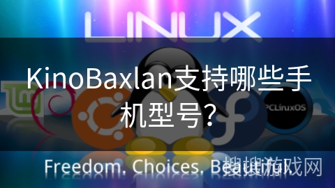 KinoBaxlan支持哪些手机型号？