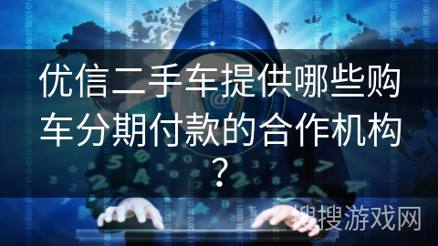 优信二手车提供哪些购车分期付款的合作机构？