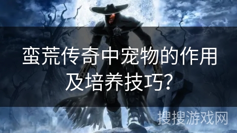 蛮荒传奇中宠物的作用及培养技巧？