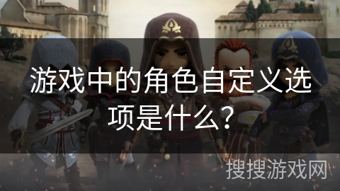 游戏中的角色自定义选项是什么？